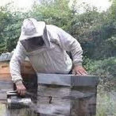 En formation apicole